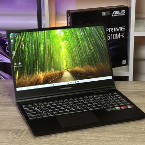 Ноутбук CyberPowerPC F5DNEK 15.6" QHD IPS 165Hz Ryzen 7 4800H 16 RAM 512 SSD Nvidia GeForce RTX 3060 6 ГБ БВ